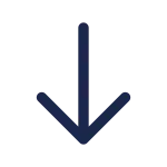 Arrow Down SVG Icon